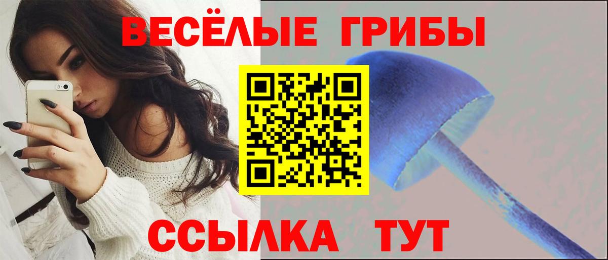 Галлюциногенные грибы MAGIC MUSHROOMS Среднеуральск